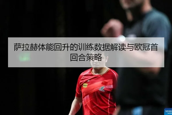 sa-la-he-ti-neng-hui-sheng-de-xun-lian-shu-ju-jie-du-yu-ou-guan-shou-hui-he-ce-lve-2-954.jpg